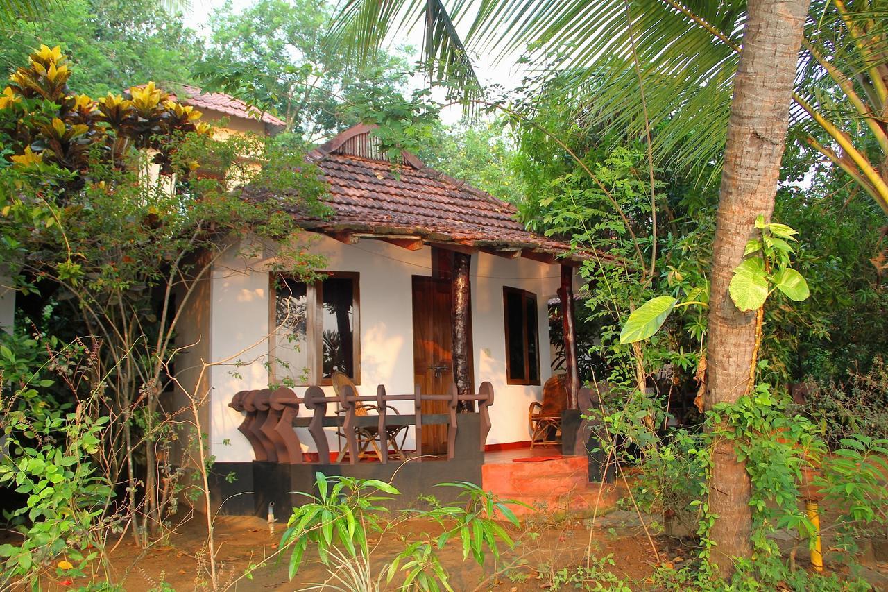 Hotel Big Banana Island Retreat North Paravur Esterno foto
