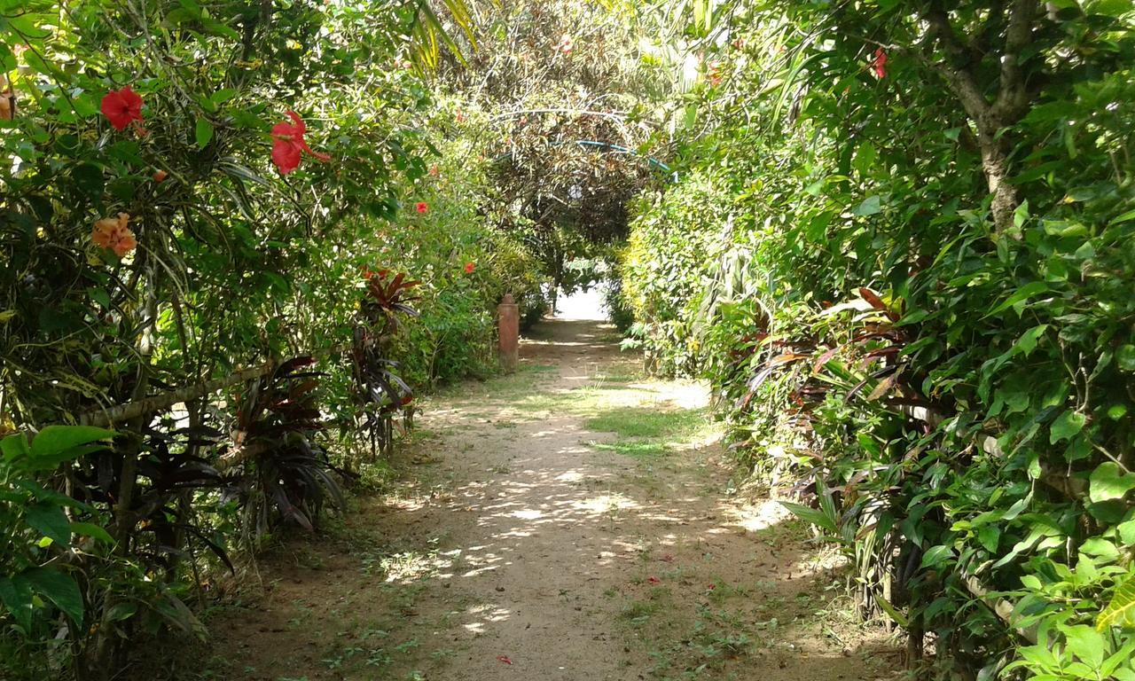 Hotel Big Banana Island Retreat North Paravur Esterno foto