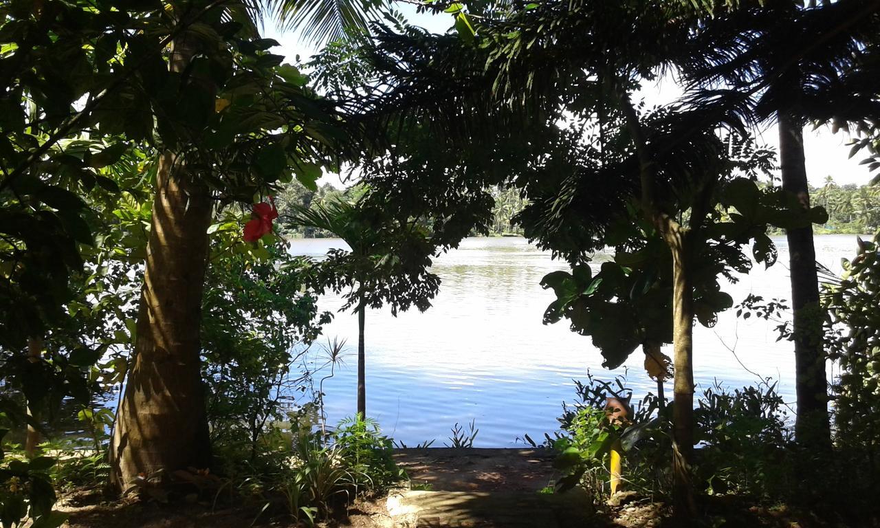 Hotel Big Banana Island Retreat North Paravur Esterno foto