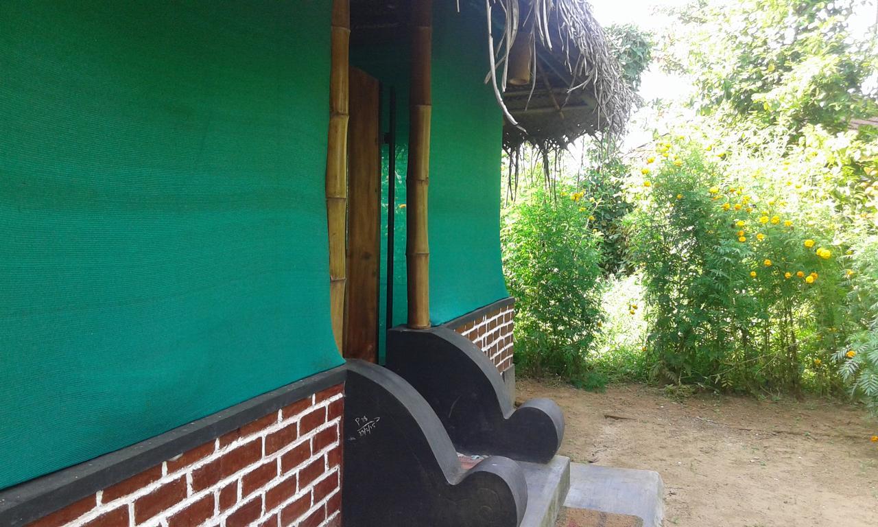 Hotel Big Banana Island Retreat North Paravur Esterno foto